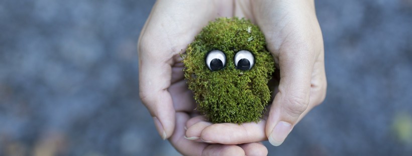 Consomm'acteur repar café écologie réemploi réparation Ytrac Cantal événement jeter pas question